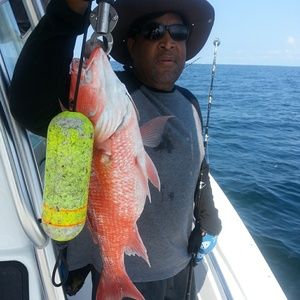 Meet your Posher, Derrick